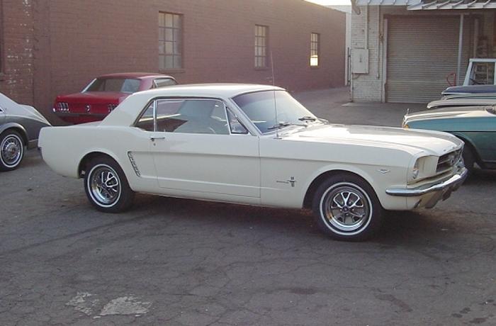Mustang Coupe Pictures