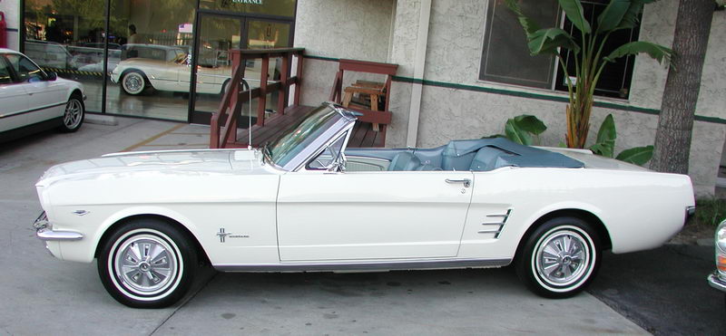 Picture 1966 mustang